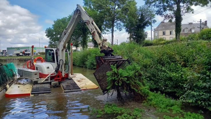 Plantes invasives_2.jpg